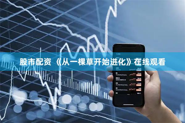 股市配资 《从一棵草开始进化》在线观看