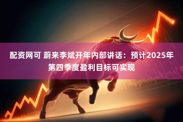 配资网可 蔚来李斌开年内部讲话：预计2025年第四季度盈利目标可实现