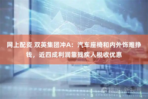 网上配资 双英集团冲A：汽车座椅和内外饰难挣钱，近四成利润靠残疾人税收优惠